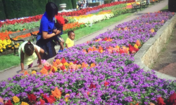 little gems gallery (5) little gems gallery (5)