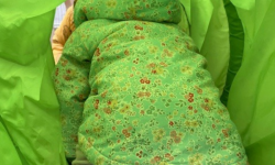 Copy of Untitled (3) Copy of Untitled (3)