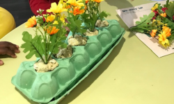 Copy of Untitled (5) Copy of Untitled (5)